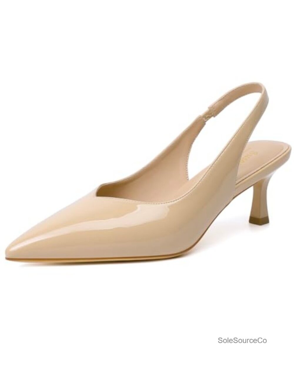 Susanny Kitten Heels Closed Pointed Toe Slingback Pumps